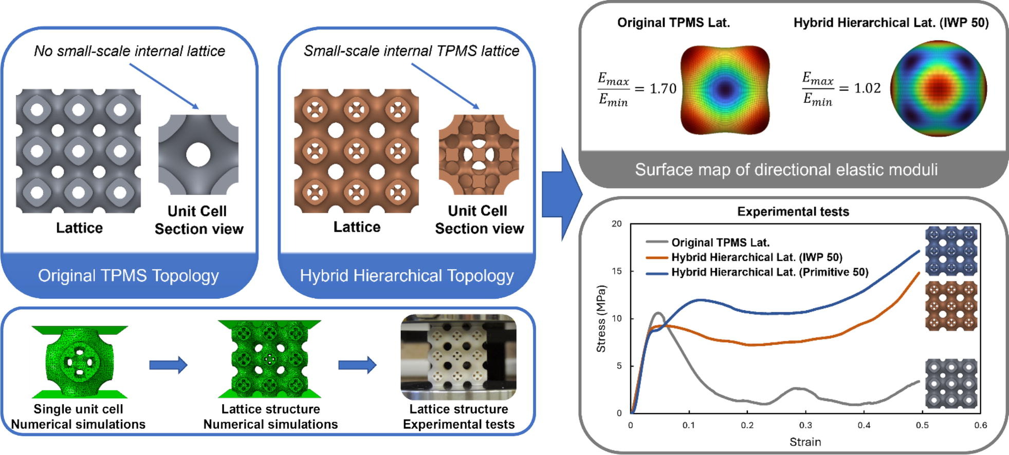 Read more about the article A novel hierarchical triply periodic minimal surface unit cell 