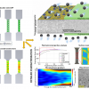 Engineering bi-directional microstructural heterogeneity through mechanical surface treatment