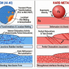 Atomic-scale defect-mediated interfacial bonding in cold spray: FCC vs. BCC metal systems